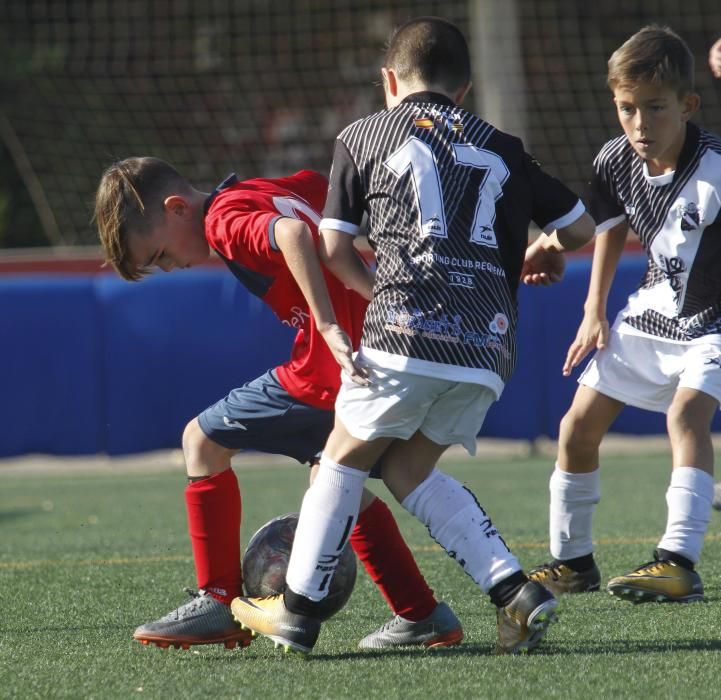 futbol base Juventud - Requena