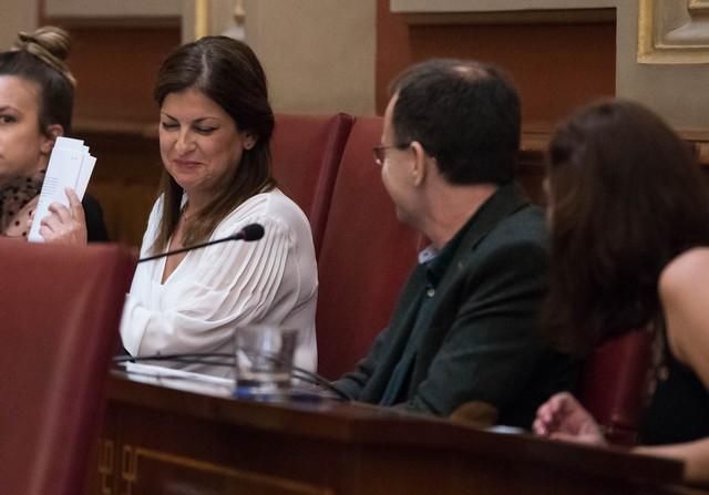 Moción de censura en Santa Cruz  | 13/07/2020 | Fotógrafo: Carsten W. Lauritsen