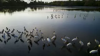 La pérdida de humedales podría costar 39 billones de dólares al mundo