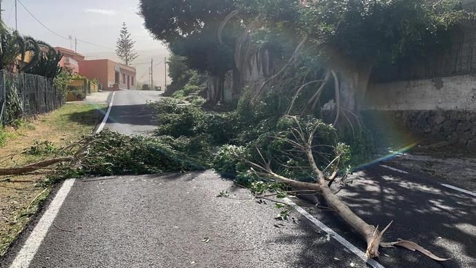 Registran más de 800 incidentes por el viento en Canarias
