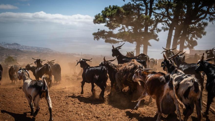 El Rosario Clears 70 Football Fields in Post-Fire Prevention Drive