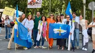 Los médicos asturianos ponen el foco en la Ministra de Sanidad: "En su intolerancia va a acabar con el sistema nacional de salud"