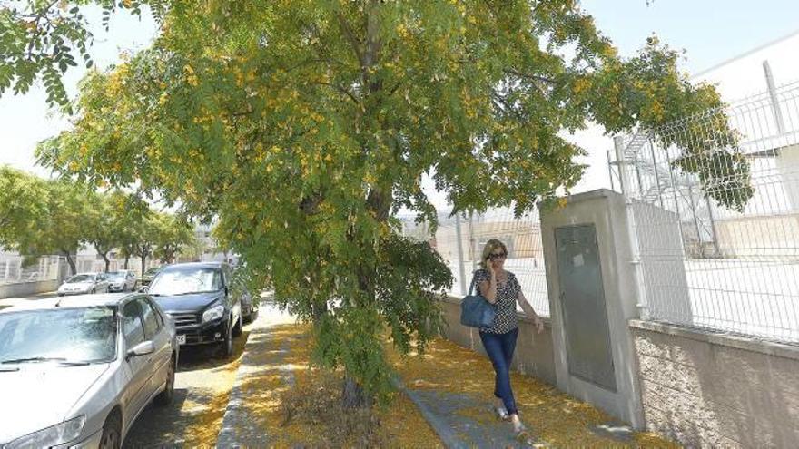 El Ayuntamiento dejará a los industriales podar árboles en Parque Empresarial