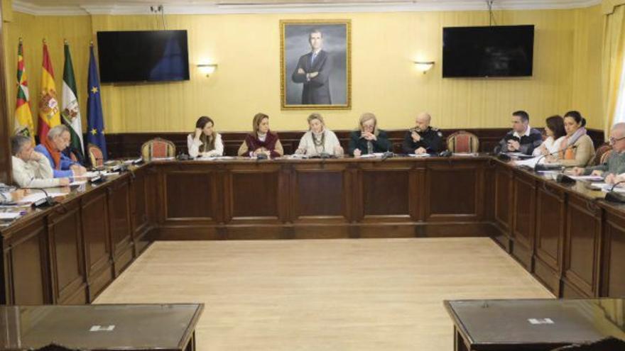 Consejo Local de Salud de Cabra.