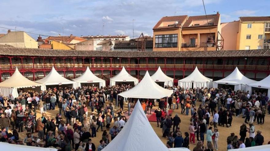 Numerosas personas disfrutan de la Feria del Vino de Toro. | Cedida