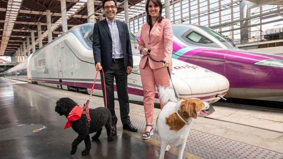 Una prova pilot permetrà viatjar amb gossos grans als AVE