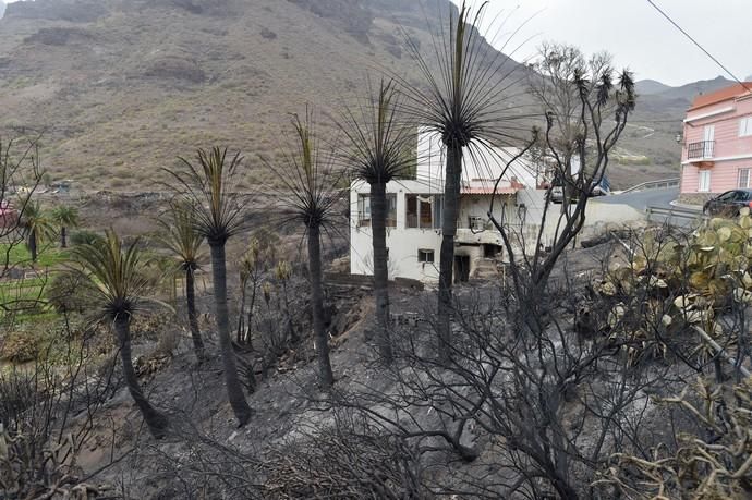 24-02-2020 MOGÁN. Afectados por el incendio,  en La Aldea y Tasarte. Fotógrafo: ANDRES CRUZ  | 24/02/2020 | Fotógrafo: Andrés Cruz