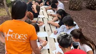 La asociación AFEDES desarrolla cinco proyectos de inserción laboral y ayuda social en Los Realejos
