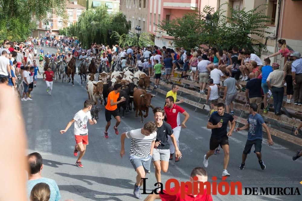 Séptimo encierro en Moratalla