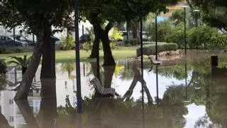 Alerta naranja: Canet cerrará parques y suspende actividades