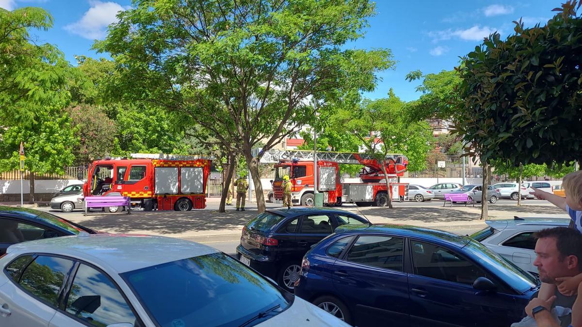 Bomberos actuando en el entorno del IES Gabriel y Galán de Plasencia.