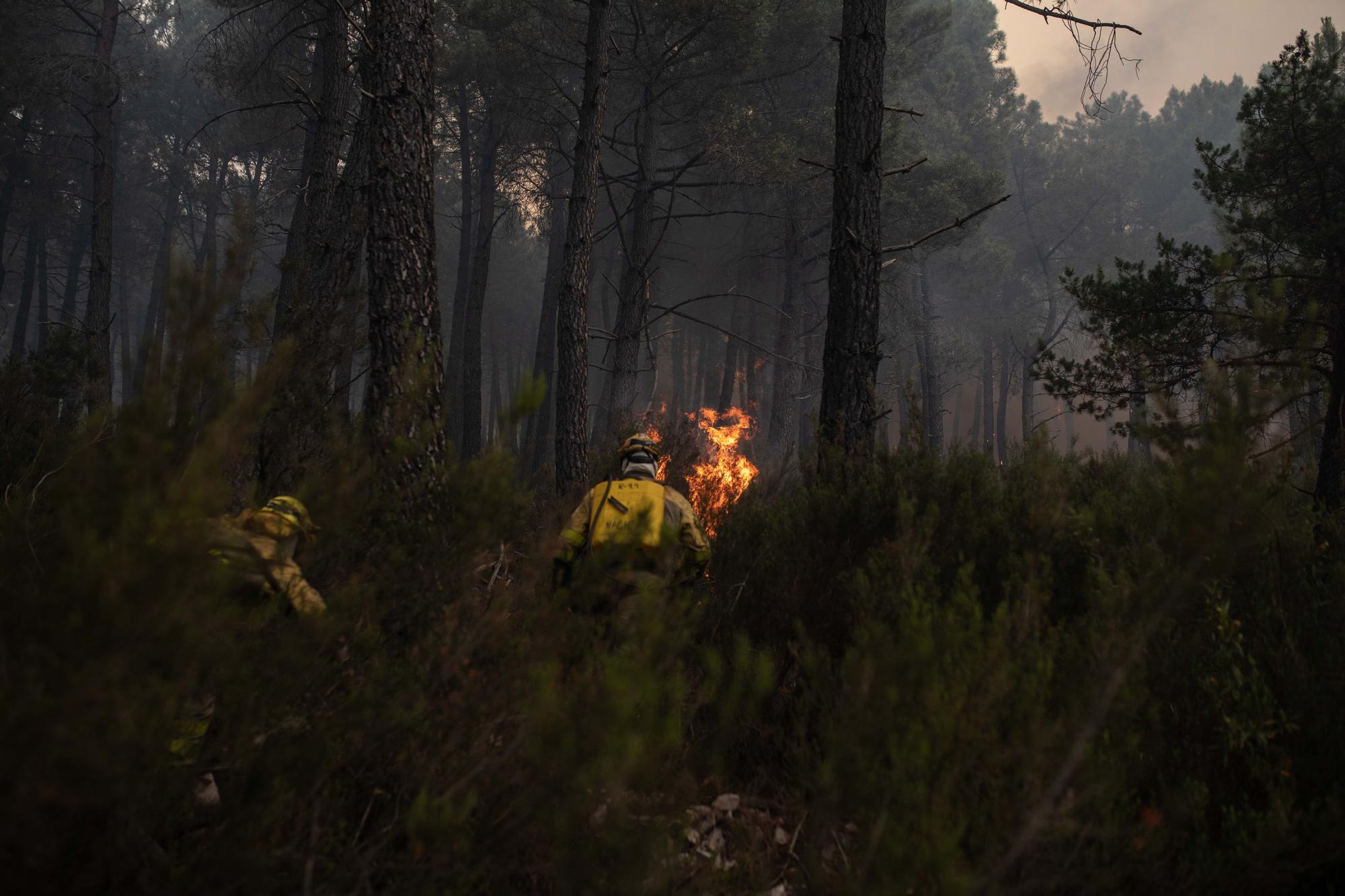 GALERÍA | El incendio de la Sierra de la Culebra, en imágenes