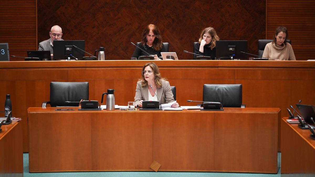 Ana Moracho, directora general de Política Educativa, este martes, en las Cortes.