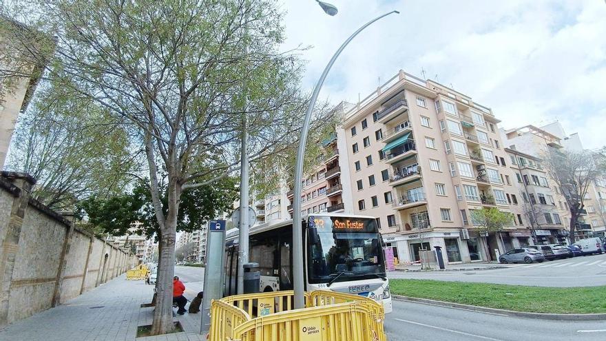 Palma inicia la sustitución de más de cien farolas de la calle General Riera