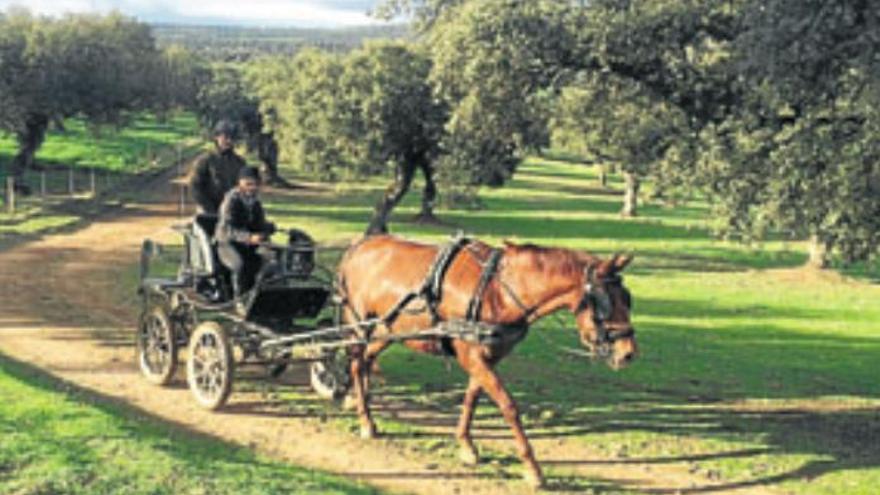 Jorge Montaño gana el raid de Fuente Obejuna