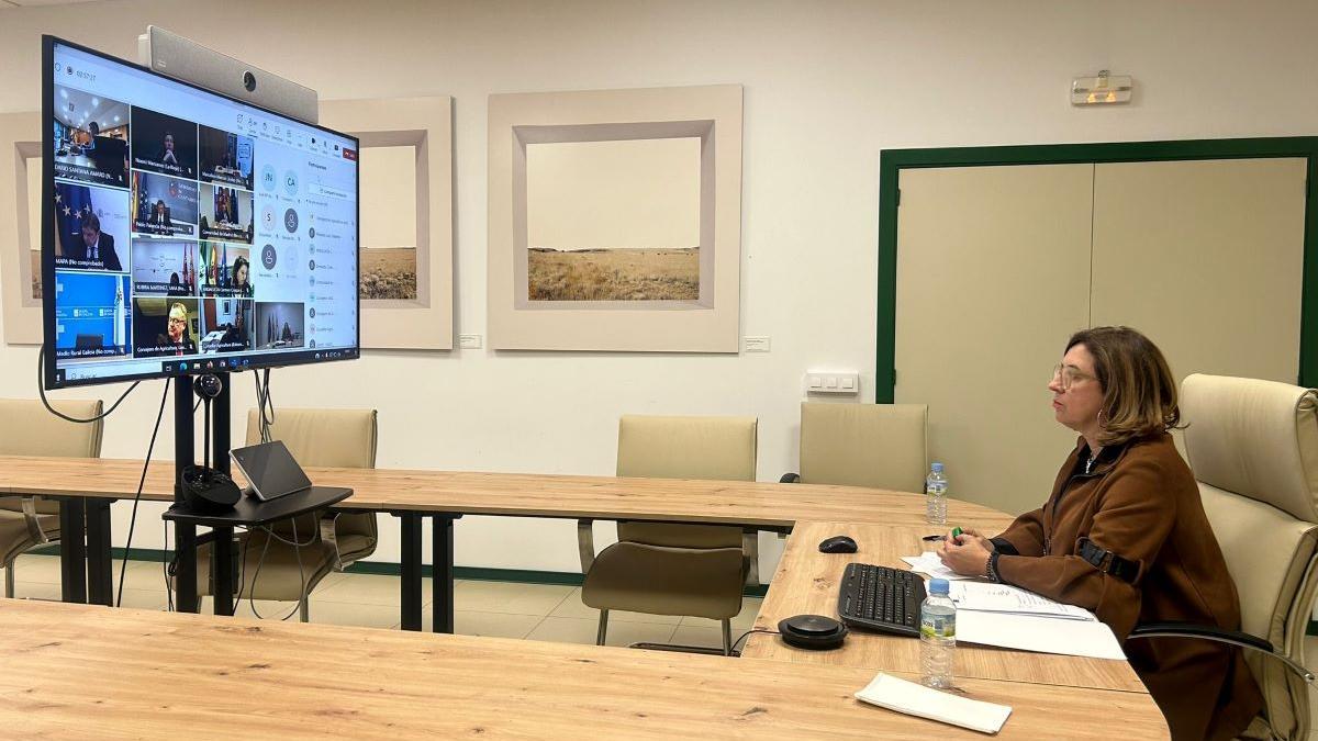 Mercedes Morán, consejera de Agricultura, en la videoconferencia con el ministro Luis Planas.