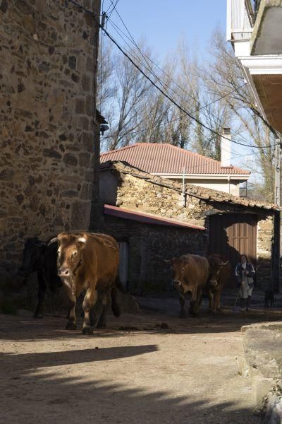 Zamora desAparece 16 | Tola