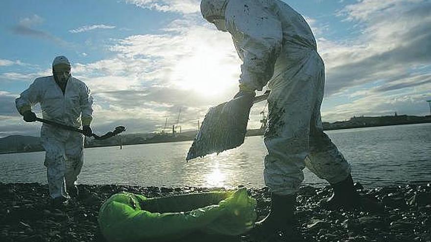 Trabajadores de la empresa Tragsa limpian los efectos del vertido, entre Zeluán y San Balandrán, en 2007.