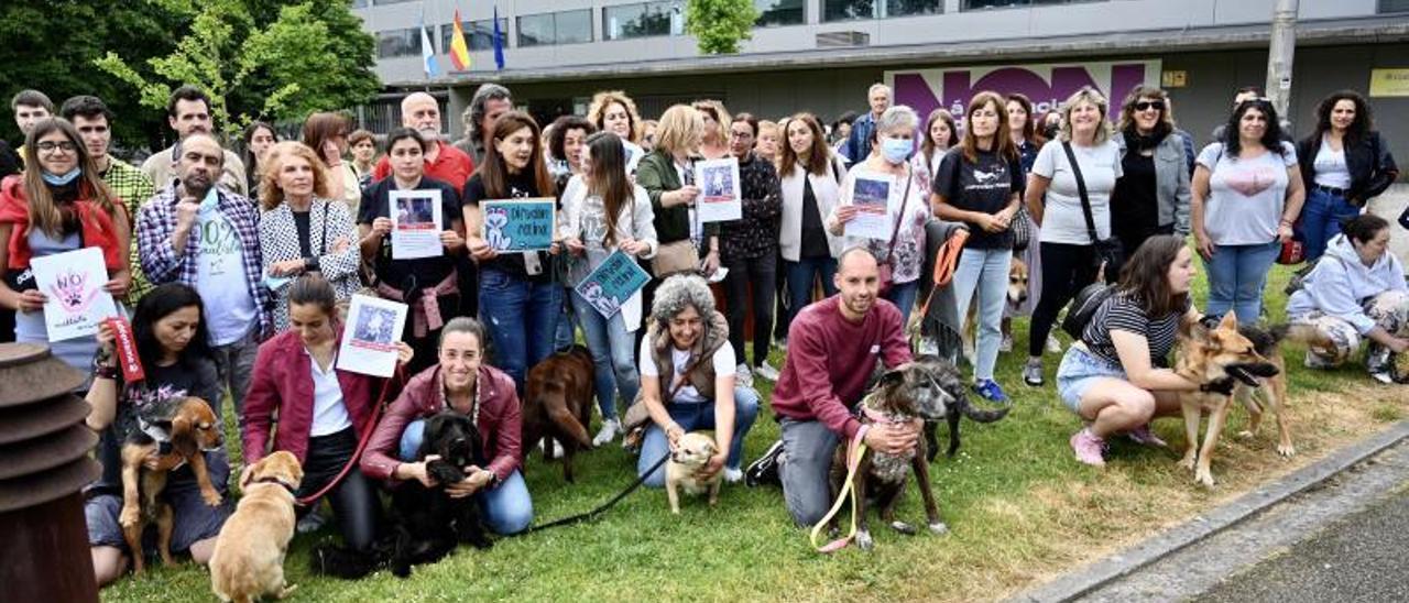 Participantes en la concentración que celebraron ayer ante el edificio de la Xunta 14 protectoras y asociaciones de acogida.   | // RAFA VÁZQUEZ