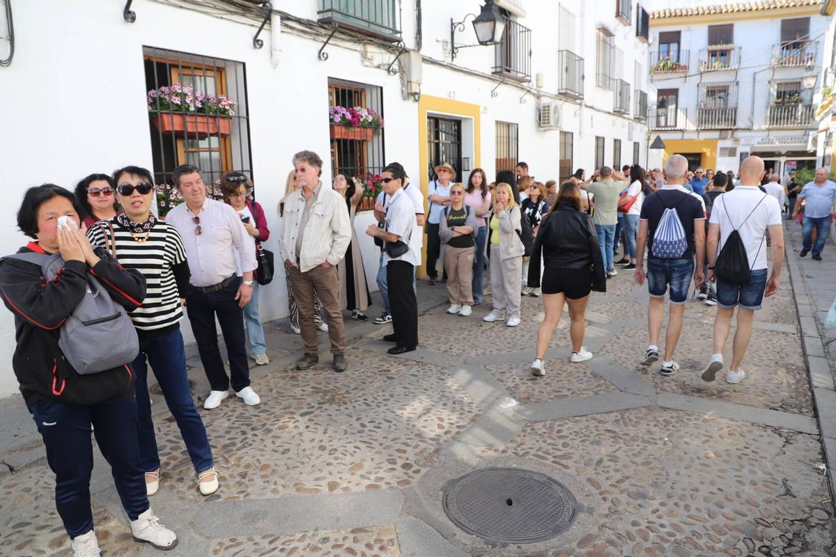 Los Patios premiados se llenan de visitantes
