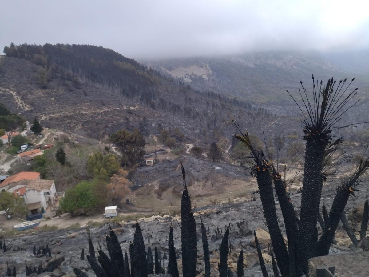 La destrucción del incendio de Tàrbena, en imágenes