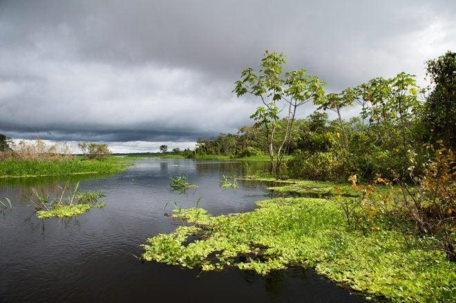 Reserva nacional Pacaya Samiria