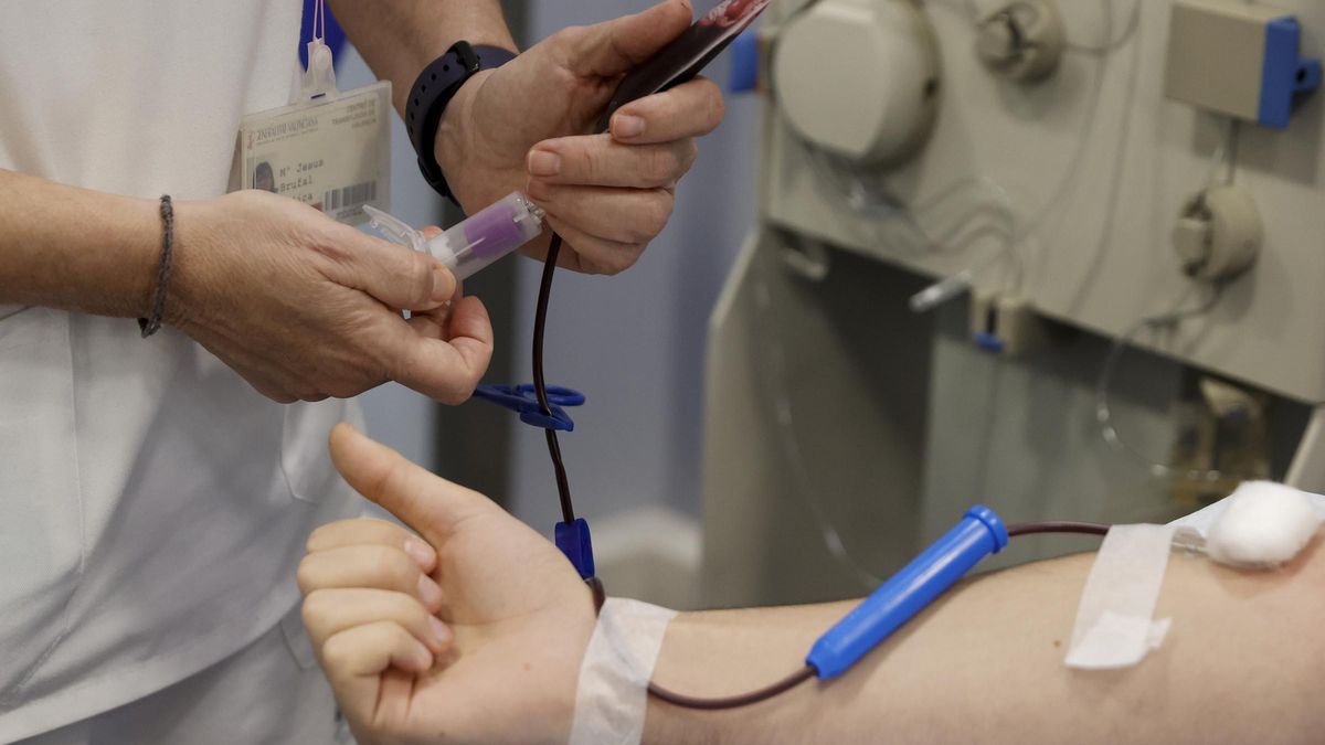 Identifican 250 proteínas en sangre que pueden revelar la gravedad de la malaria