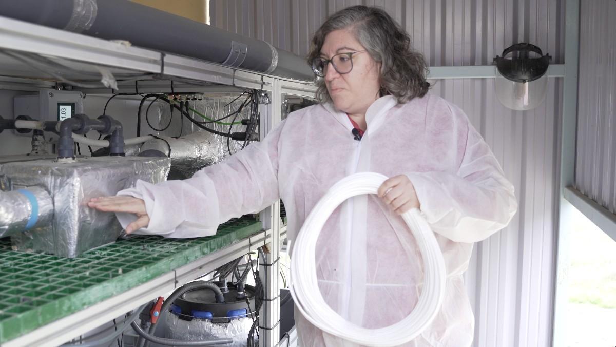 Coral Carrasco, coordinadora de I+D y sostenibilidad del Grupo Vall Companys, muestra el sistema de filtros para capturar el amoníaco en las granjas.