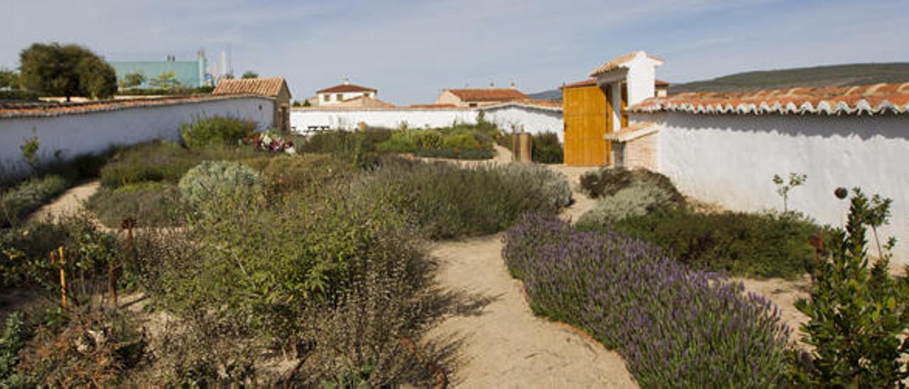 Un aula de botánica en el cementerio