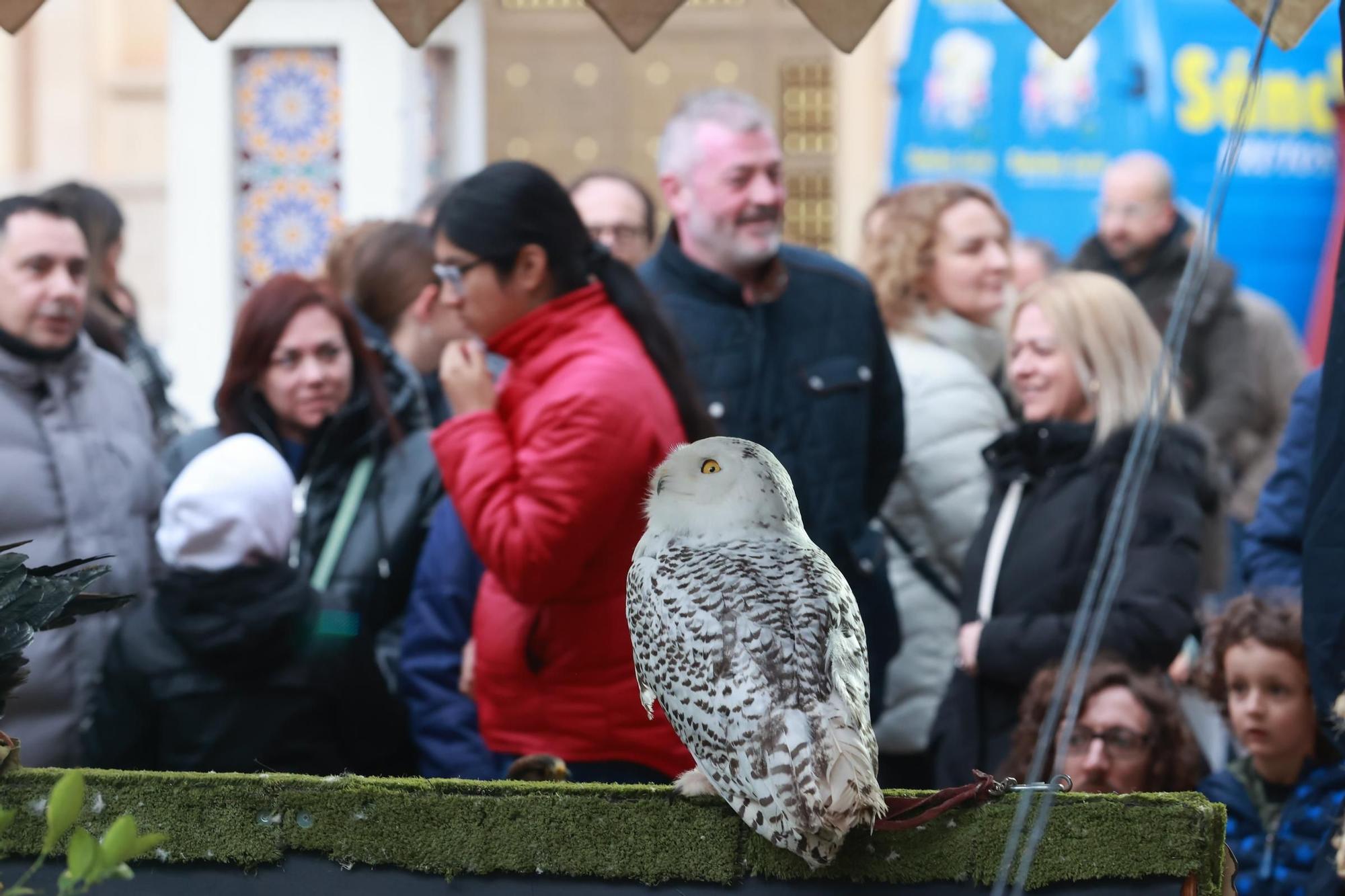 Todas las imágenes del mercado medieval de Vila-real