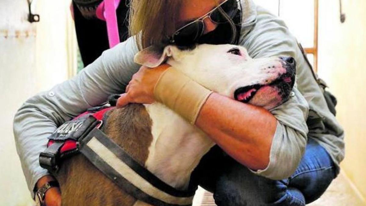 Imagen de archivo de una cuidadora abrazando a un perro potencialmente peligroso. | D.I.