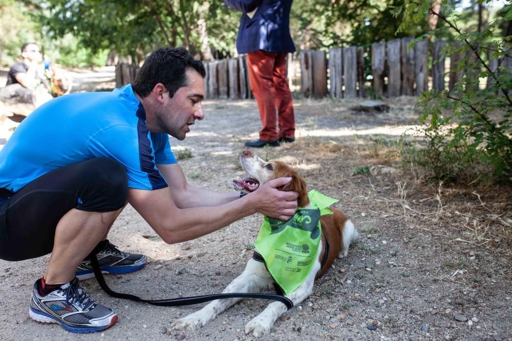 II Can We Run en Zamora