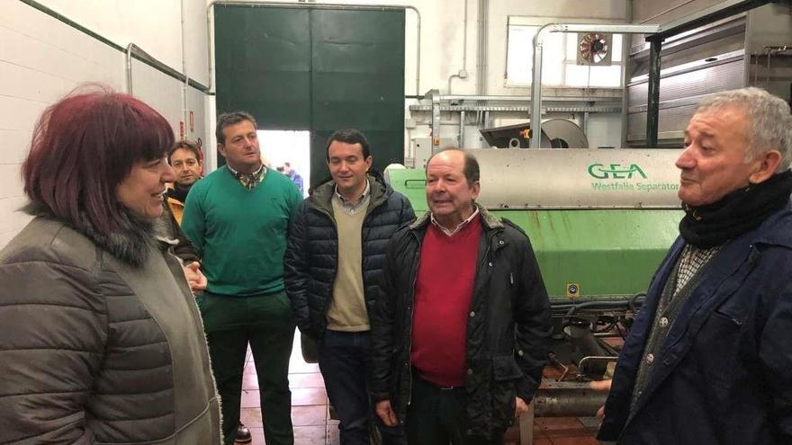 La superficie para la producción ecológica en Extremadura alcanza los 94.000 hectáreas