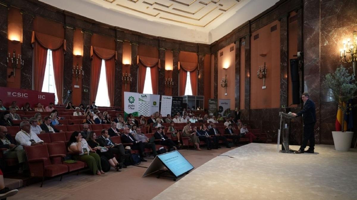 Imagen de una edición anterior del Olive Oil World Congress (OOWC), que este 2026 se celebra en Lisboa.