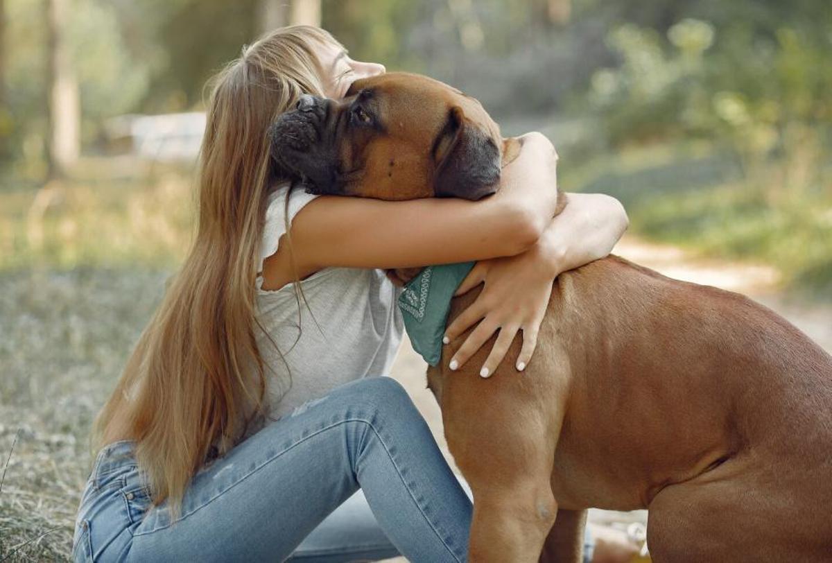 Sents molt d'afecte cap als animals?