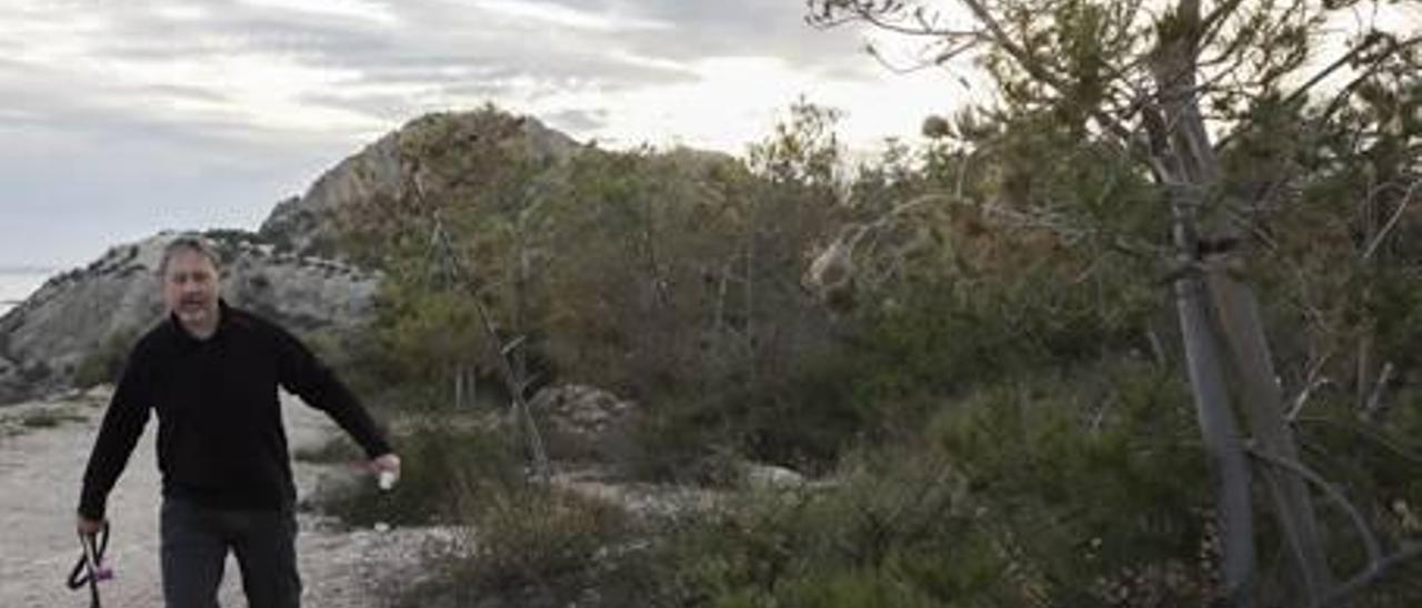 La sequía y el cálido invierno agravan la plaga  de procesionaria