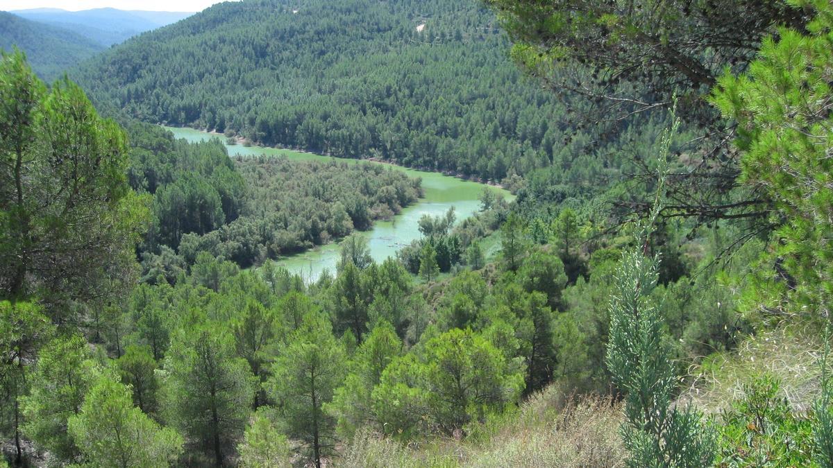Las reservas valencianas de la Biosfera: así es el Alto Túria y el Valle del Cabriel