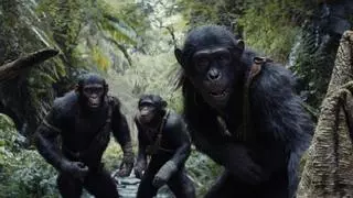Tardé tanto en ir a ver 'El planeta de los simios' que, cuando llegué al cine, ya eran hombres