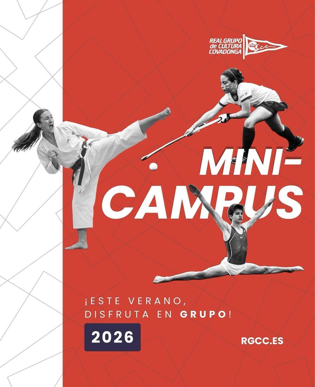 Cartel oficial del minicampus