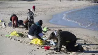 ¿Qué son los pellets de plástico y cuáles son sus peligros para el medio ambiente?