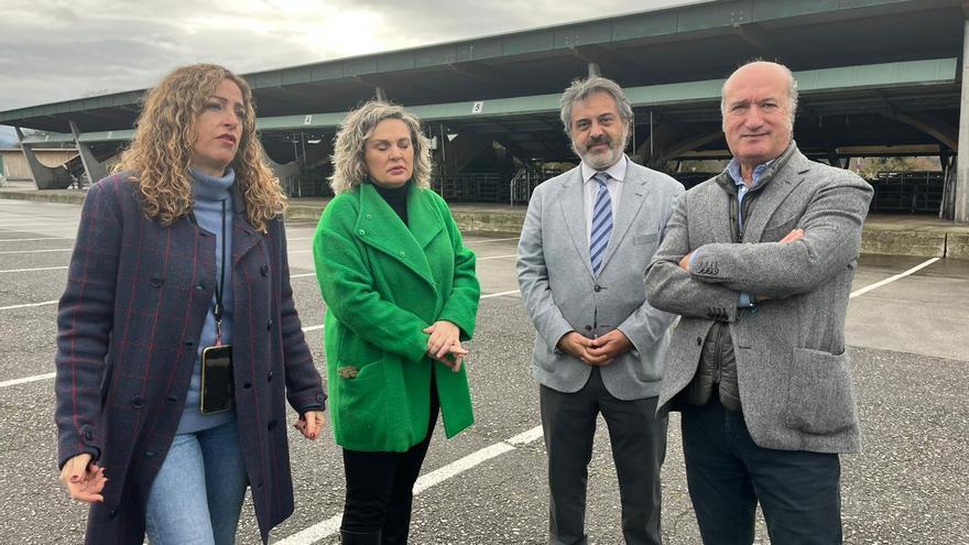 Venta: &quot;La gestión del Gobierno de Barbón es devastadora para el sector ganadero&quot;