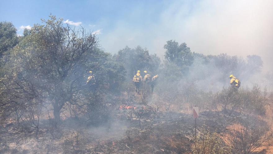 Incendio en la comarca de Vidriales.