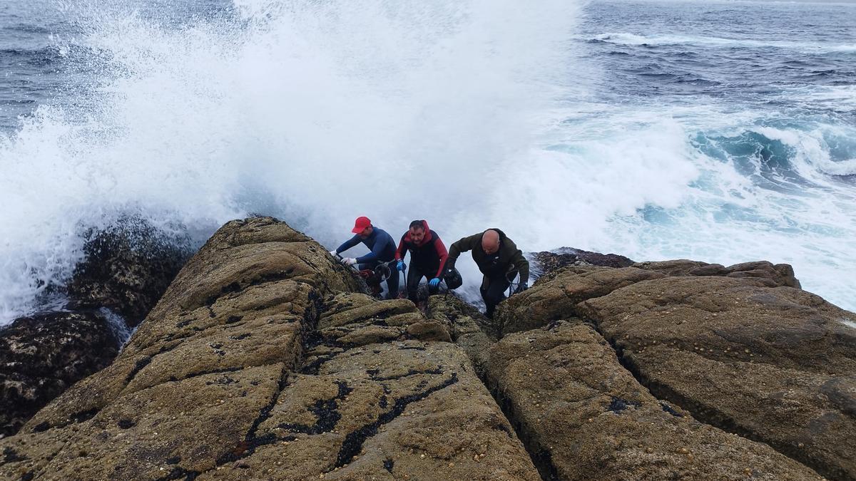 Percebeiros de Aguiño recogiendo los preciados percebes