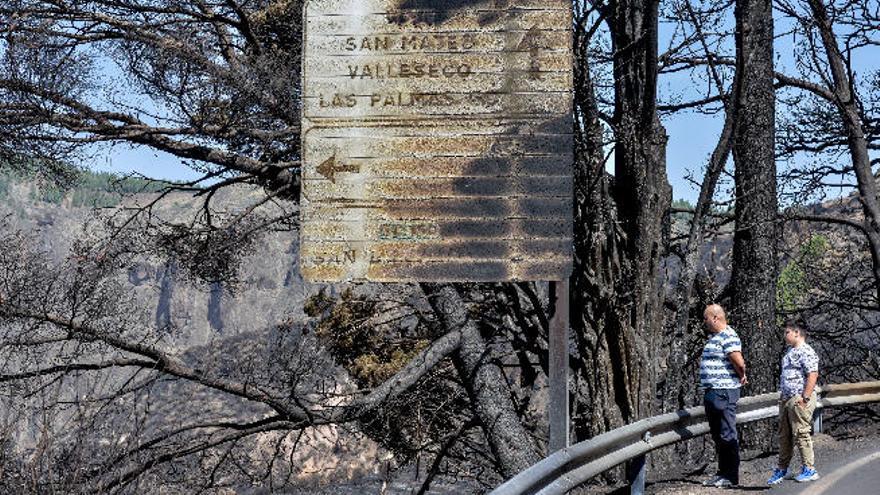 Una de las imágenes en la carretera de las medianías.