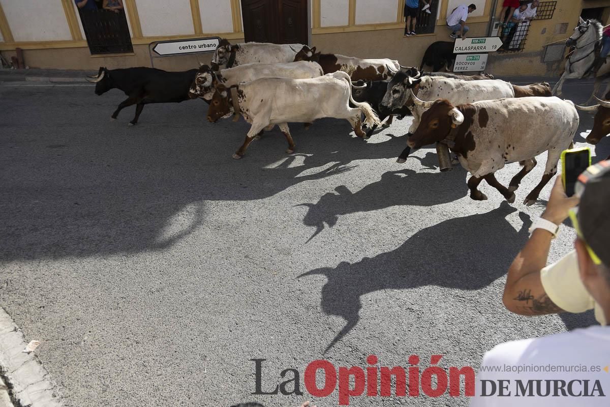 Cuarto encierro en las Fiestas de Moratalla