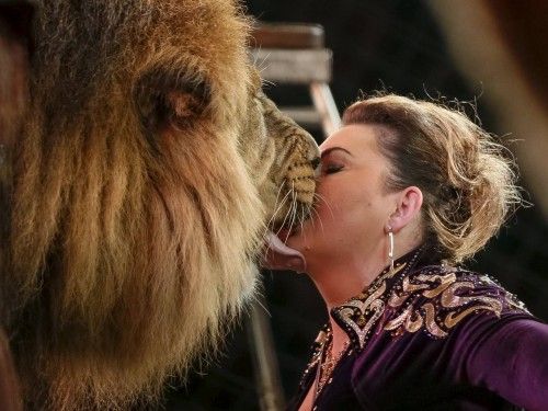 A lion and its trainer perform during "Stars and starlets", a new programme, at the National Circus in the Ukrainian capital of Kiev