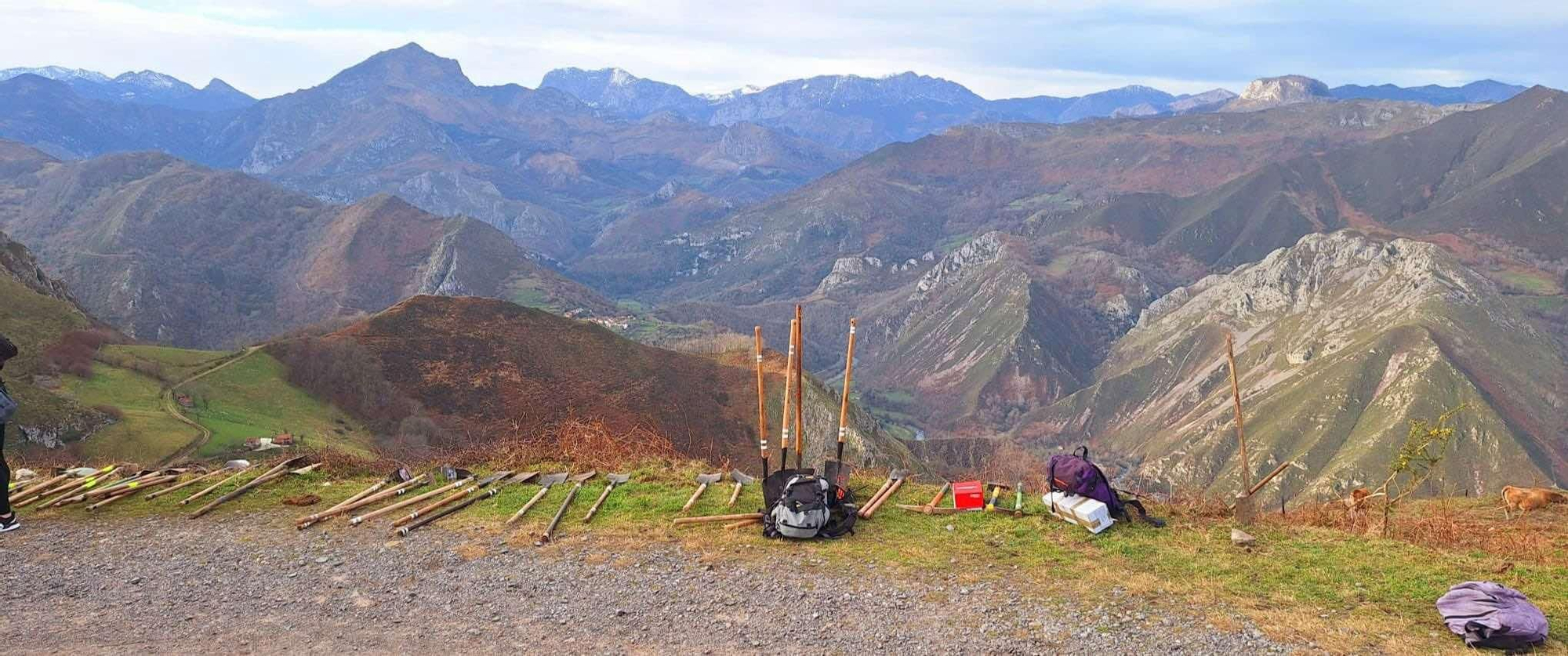 Plantación de 500 árboles en Les Cuerries, Cangas de Onís