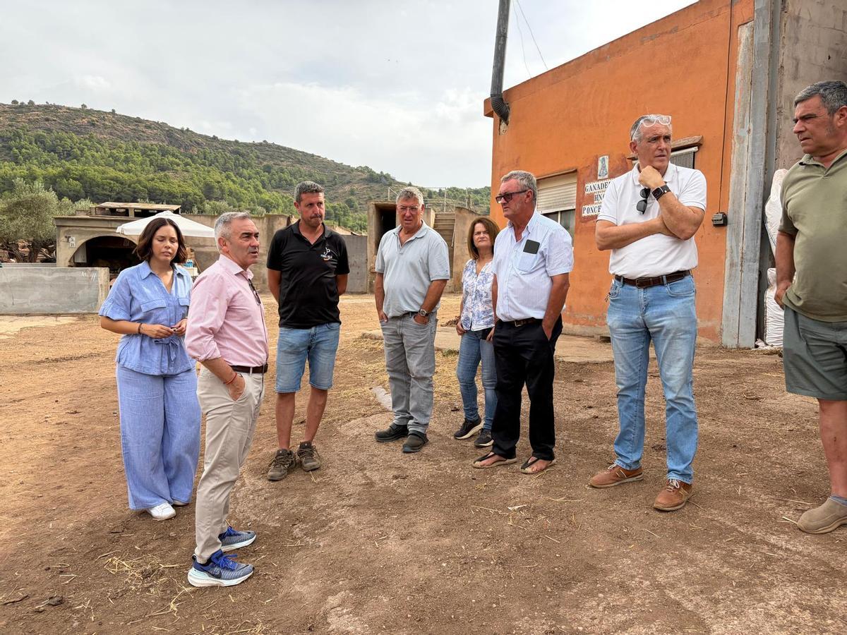 El conseller en su visita a una explotación de vacuno bravo extensivo en Azuébar