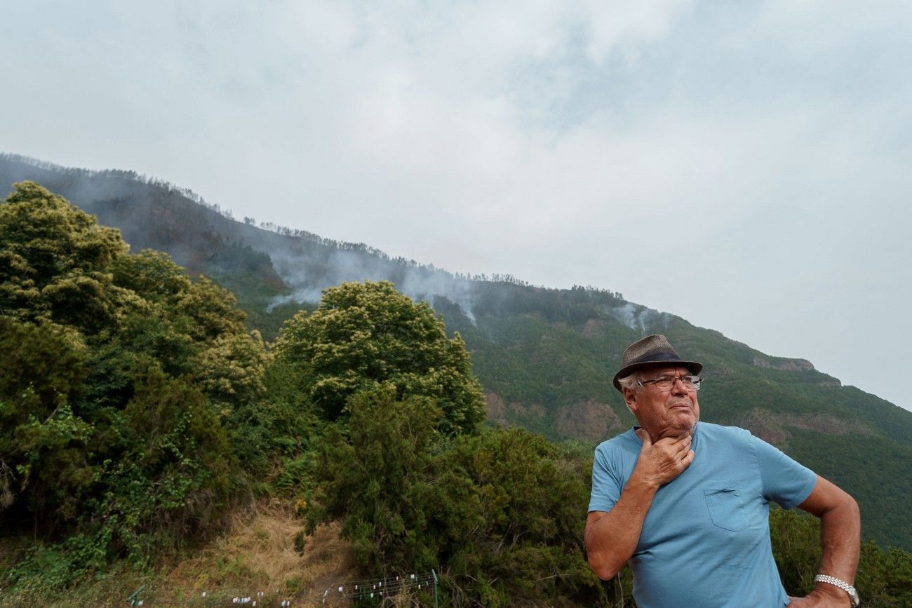 Así ha quedado el monte de Tenerife por el incendio