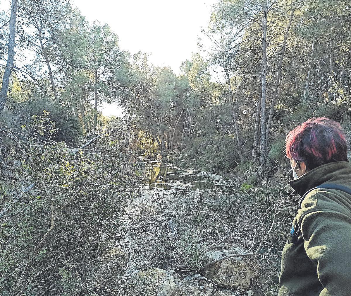 Cabecera del río Seco en Pilar de la Horadada, uno de los espacios protegidos incluidos en el futuro Parque Natural, en una imagen de archivo